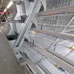 One Day Old Baby Chick Cage With Full Automatic System for sale