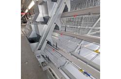 China One Day Old Baby Chick Cage With Full Automatic System supplier