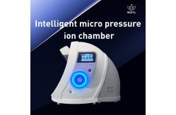 China Intelligent Micro Pressure Ion Chamber 1.3ATA Anti-aging Antioxidant WEIZI supplier