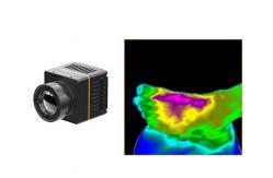 China Fast Integration Thermal Imaging Camera Module 384x288 17μM For Health Care supplier