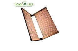 China 2 Channels Full Spectrum Osram 730nm 3x3 Led Grow Light supplier