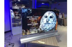 China Multifunctional Thin OLED Display / Stable Hdmi OLED Display 55 Inch supplier