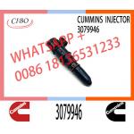 Fuel Injector 3079946 3411821 3087648 3018835 for cum-mins NTA855