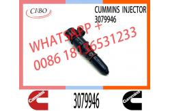 China Fuel Injector 3079946 3411821 3087648 3018835 for cum-mins NTA855 supplier