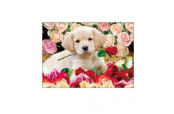 China Lovely Cats And Dogs 3D Lenticular Pictures Printing Customized Size supplier