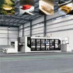 Fully Automatic Plastic Lid Thermoforming Machine
 for sale