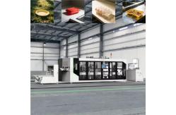 China Fully Automatic Plastic Lid Thermoforming Machine
 supplier