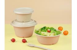 China Disposable Biodegradable Take Away Pulp Sugar Cane Bagasse Bowl with Lid supplier