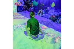 China Joyful Beach Projection Game Interactive Equipment For Indoor Learning Events supplier