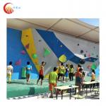 Organic Resin Rock Climbing Volumes Indoor Rock Wall Holds For Campsite for sale