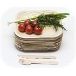 10 Disposable Square Areca Palm Leaf Plates With Fork Knife