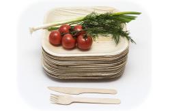 China 10 Disposable Square Areca Palm Leaf Plates With Fork Knife supplier