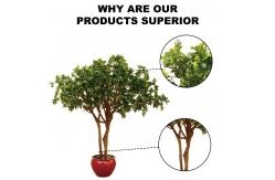China Wholesale Boxwood Tree Artificial Boxwood Tree for Decoration supplier
