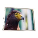Original BOE 10.4 inch 800*600 Resolution LCD Display Module TT104S0M-NW0 for sale