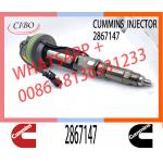 Marine Diesel Engine QSK19 QSK38 QSK60 Fue Injector 2867147 F00BJ00001
