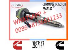 China Marine Diesel Engine QSK19 QSK38 QSK60 Fue Injector 2867147 F00BJ00001 supplier
