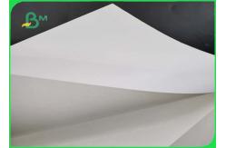 China High Grammage Ivory Board Paper 300g / 400g White Cardboard Eco - Friendly C1S supplier