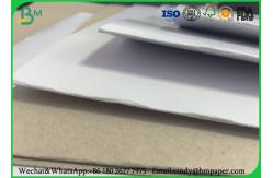 China Packaging Box Coated Duplex Board Grey Back 350gsm 300gsm In Sheet / Roll supplier