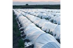 China Multi Purpose Plastic Films For Agricultural Applications Greenhouse Mulching And Crop Protection supplier
