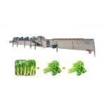 Ss304 1500kg/H Fruit And Vegetable Processing Machine for sale