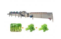 China Ss304 1500kg/H Fruit And Vegetable Processing Machine supplier
