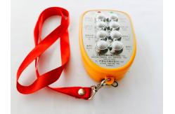 China 8-Way Switch Industrial Wireless Remote Control supplier
