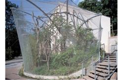 China Knotted Stainless Steel Cable Trellis , Cable Wire Mesh For Green Wall supplier