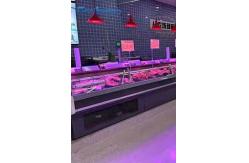 China Frost - Free Meat Display Freezer supplier