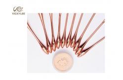 China Artificial Fiber Wool 10 In1 18.8CM Professional Brush Set supplier