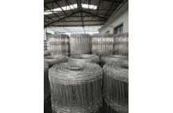 China Fixed Hinge Grassland Wire Fence , 2.5mm Galvanized Mesh Wire Fencing supplier