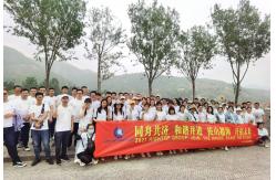 China Mini Hydraulic Excavator manufacturer