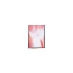 12.1 inch LS121K1LX02 1280*800 LCD Screen Panel for sale