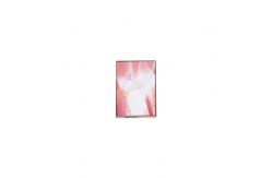 China 12.1 inch LS121K1LX02 1280*800 LCD Screen Panel supplier
