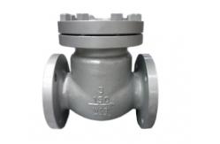 China Api 6a Flange Swing 1 Odm Stainless Steel Check Valve supplier