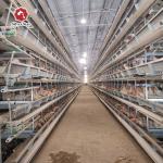 H Type Welded Wire Mesh Chicken Poultry Cage for sale