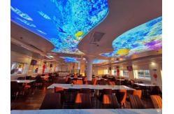 China Advertising Light Boxes Pvc Ceiling Film 250mic High Transmittance supplier