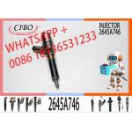 Engine Fuel Injector C6.6 10R-7932 2645A753 2645A747 320-0655 320-0688 2645A746 2645A751 10R-7672 10R-7671 10R-7674 for sale