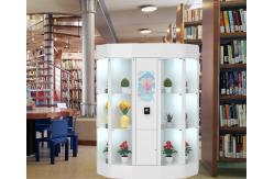 China 24/7 Access To Fresh Flower Store Vending Machines 220 - 240V High Capacity supplier