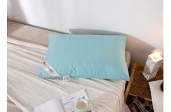 China 40s Plain Cloth 48x74cm Down Feather Pillows supplier