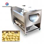 250KG Carrot Brush Cleaning And Peeling Machine Brush Cleaning Machine for sale