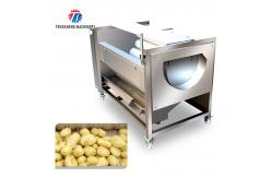 China 250KG Carrot Brush Cleaning And Peeling Machine Brush Cleaning Machine supplier