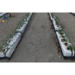Hydroponic Nutrients Planting Trough PP Roll Growing Gutter For Tomatoes for sale
