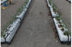 China Hydroponic Nutrients Planting Trough PP Roll Growing Gutter For Tomatoes supplier