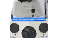 China OPTO EDU A14.1097 SW10x Inverted Biological Microscope SW10x/22mm supplier