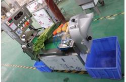 China Multifunction Vegetable Cutting Machine 1000KG/H Commercial Vegetable Cutting Machine supplier
