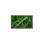 10.1 inch LCD screen N101BGE-L31 262K LCD monitor for sale