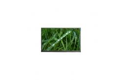 China 10.1 inch LCD screen N101BGE-L31 262K LCD monitor supplier