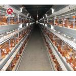 Durable Fully Automatic Multi Tiers H Type Layer Cage 9 Layers / Cell for sale