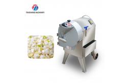 China Steric Circle Knife Set Vegetable Processing Machine Potato Cutting Input Funnel supplier