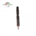 Diesel Fuel Injector EJBR03101D 166001137R for Delphi Engine